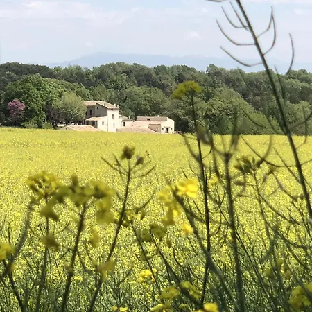 Les Anes De 3* Forcalquier