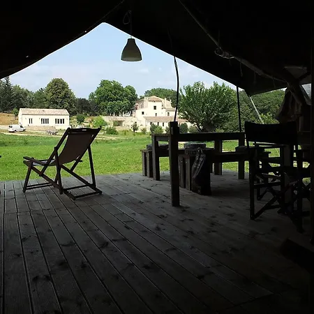 Les Anes De Forcalquier