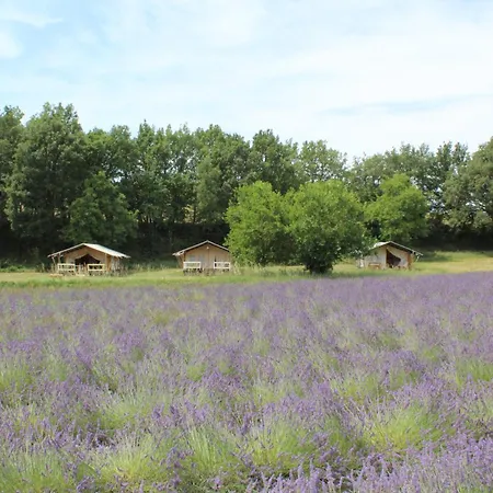 Гостевой дом Les Anes De 3*