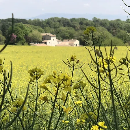 Гостевой дом Les Anes De