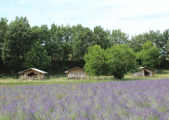 Les Anes De Affittacamere