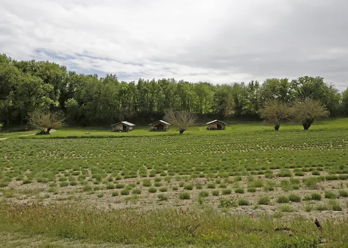 Les Anes De Affittacamere Forcalquier