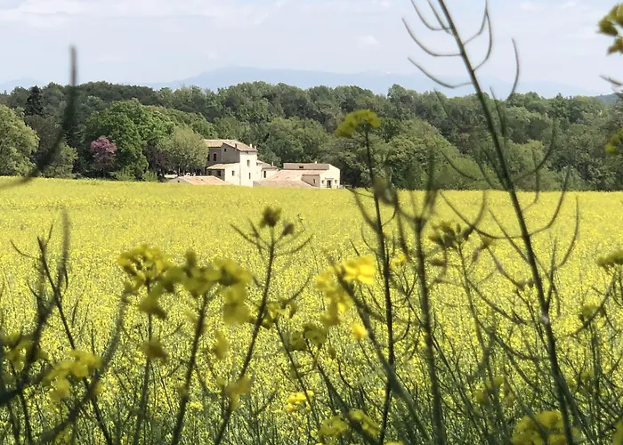 Les Anes De 3* Forcalquier