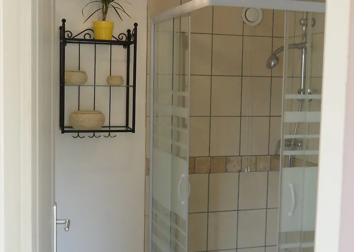 Les Anes De Forcalquier