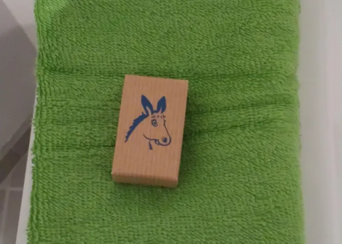 Les Anes De Affittacamere