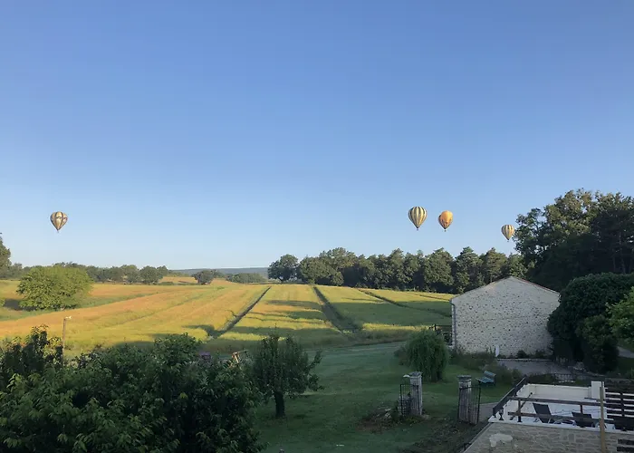 Les Anes De Forcalquier