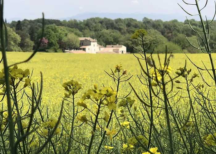 Affittacamere Les Anes De