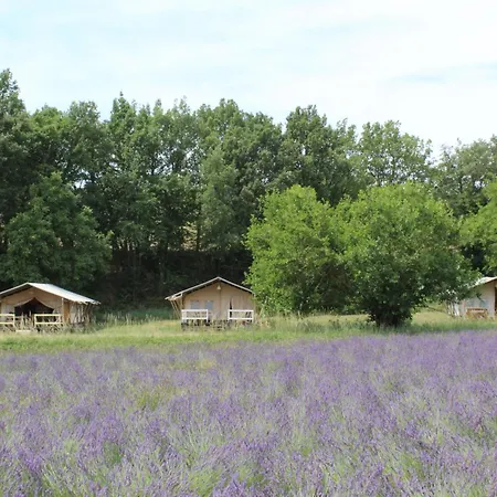 Les Anes De Guest house