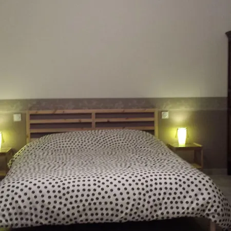 Les Anes De Konukevi Forcalquier