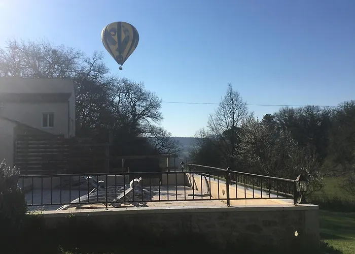 Les Anes De Forcalquier