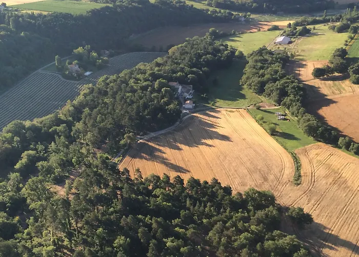 Les Anes De 3* Forcalquier